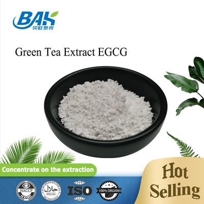 天然化粧品成分 緑茶抽出 98% EGCG粉