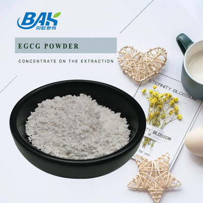 天然化粧品成分 緑茶抽出 98% EGCG粉