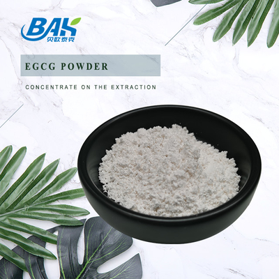 天然化粧品成分 緑茶抽出 98% EGCG粉