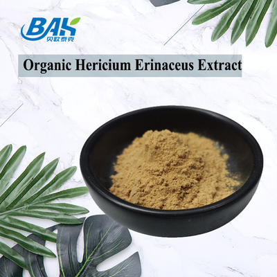 紫外線気力のHericiumのErinaceusのきのこのエキス