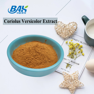 10%-50% CoriolousのVersicolorきのこのエキスの補足のブラウンの黄色い粉