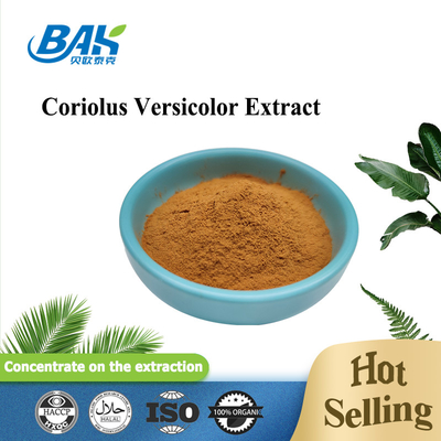 10%-50% CoriolousのVersicolorきのこのエキスの補足のブラウンの黄色い粉