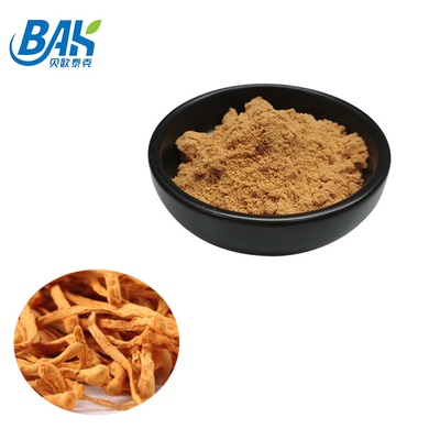 Cordyceps Militarisのエキスのレバー保護補足1% - 6% Cordycepinの粉