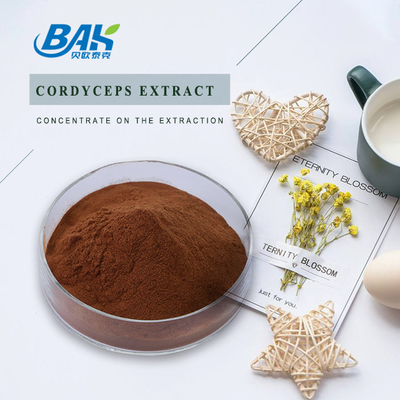 Cordycepin 5% 10% 20%の人の健康の補足Cordycepsはブラウンの粉を得る