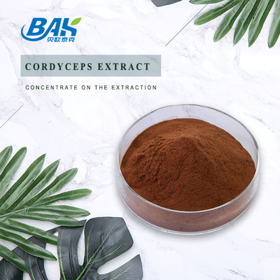 Cordycepin 5% 10% 20%の人の健康の補足Cordycepsはブラウンの粉を得る