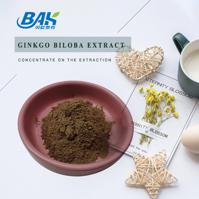 CAS 90045-36-6 ジンコビロバ抽出物 フラボングリコシド 24% テルペン乳酸 6%