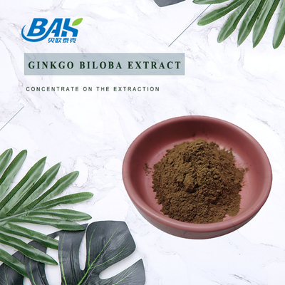 CAS 90045-36-6 ジンコビロバ抽出物 フラボングリコシド 24% テルペン乳酸 6%