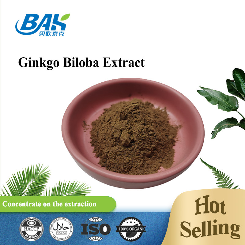 CAS 90045-36-6 ジンコビロバ抽出物 フラボングリコシド 24% テルペン乳酸 6%