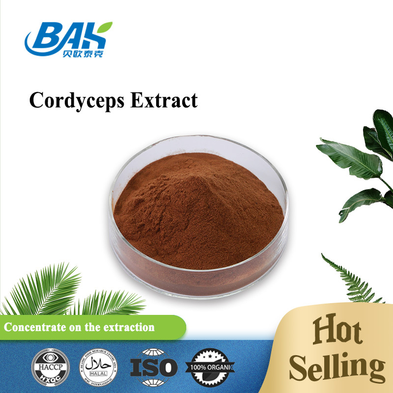 Cordycepin 5% 10% 20%の人の健康の補足Cordycepsはブラウンの粉を得る